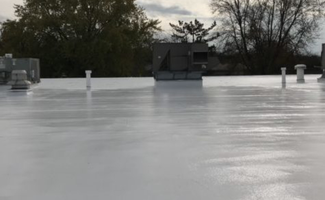 Apple Press membrane 1