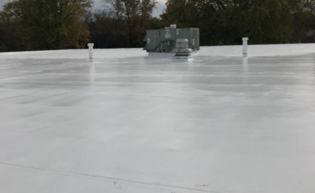 Apple Press membrane 2