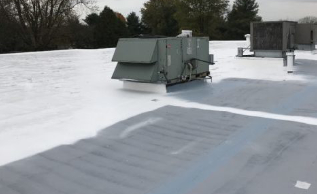 Apple Press membrane 5