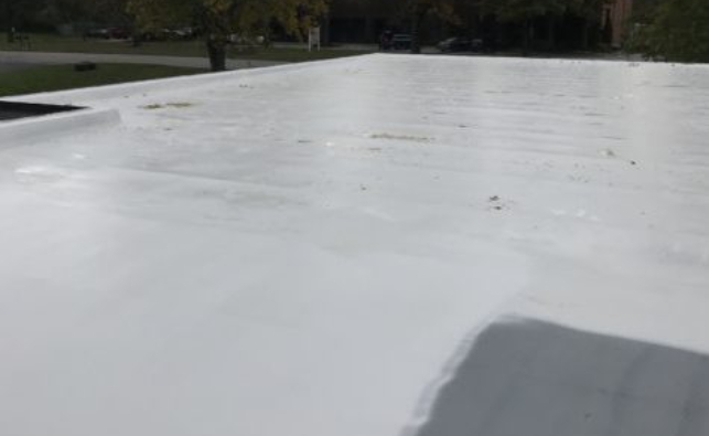 Apple Press membrane 6